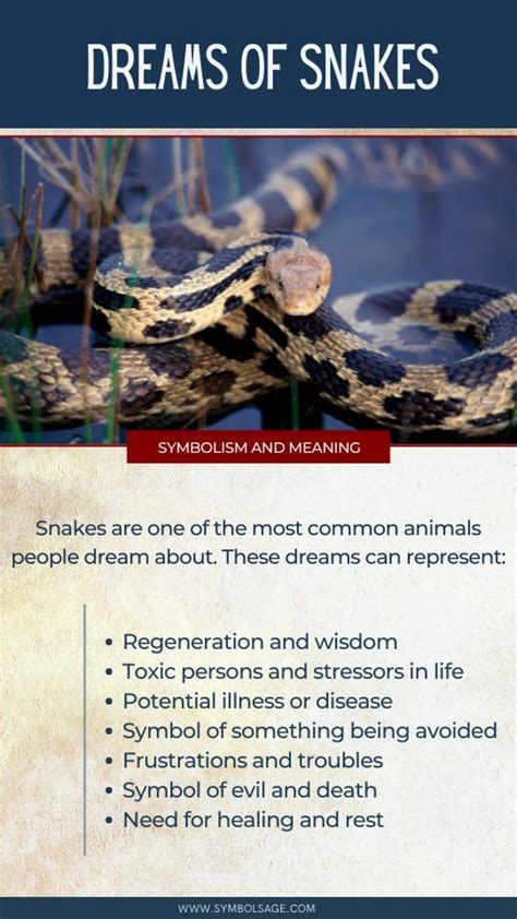 dream about snakes lottery number|Snake Dream Meaning .